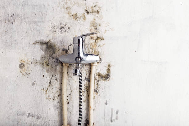 Best Mold Testing  in Tualatin, OR
