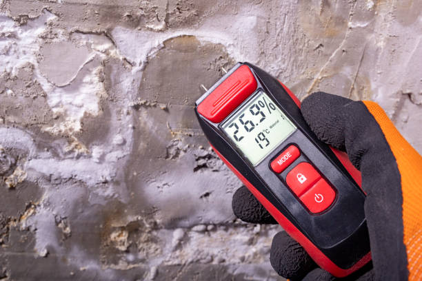 Best Office Mold Removal Services  in Tualatin, OR