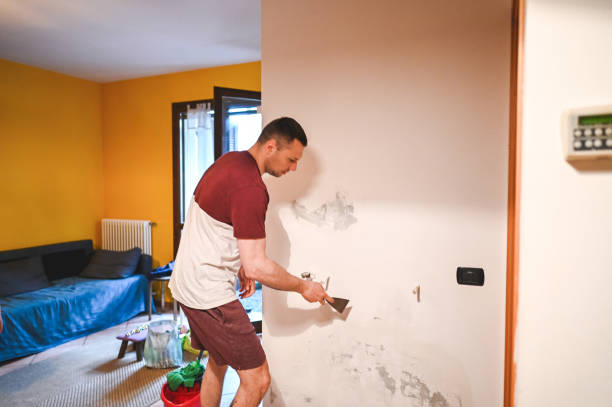 Best Toxic Mold Removal  in Tualatin, OR
