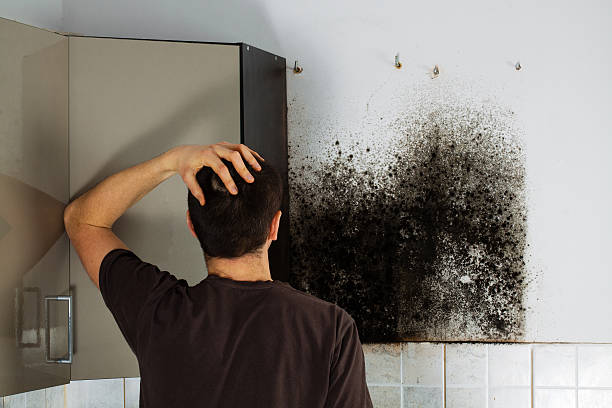Best Emergency Mold Removal  in Tualatin, OR